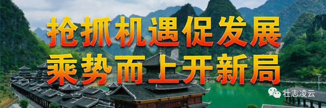 凌云：嘉宝果抢“鲜”上市 破解产业致富新密码