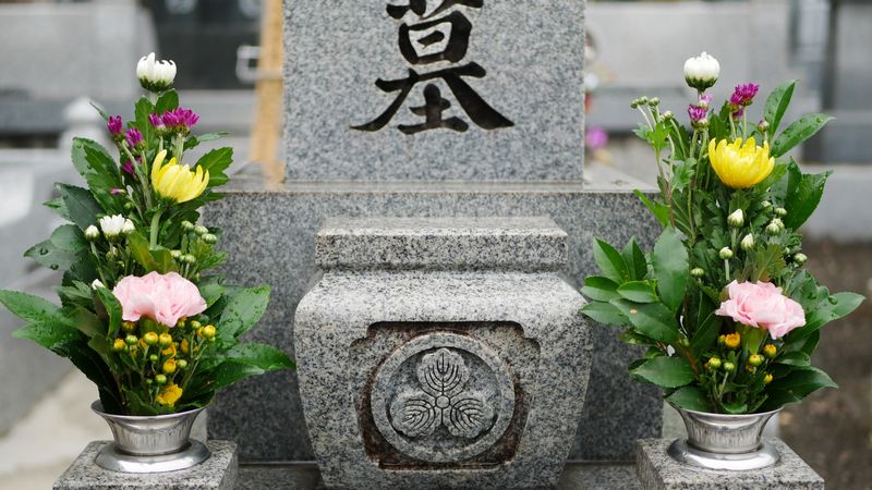 彼岸花花种植技术视频_彼岸花花种植技术要点_彼岸花花种植技术