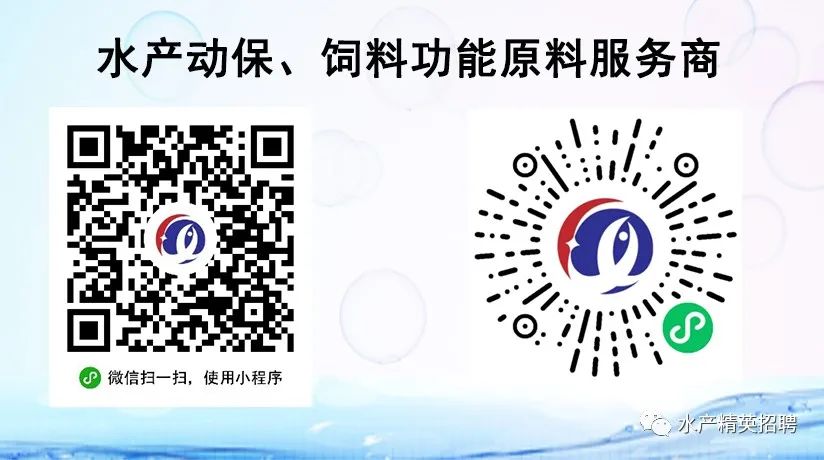 基围虾养殖的技术和条件_基围虾养殖技术_基围虾的养殖成本和条件