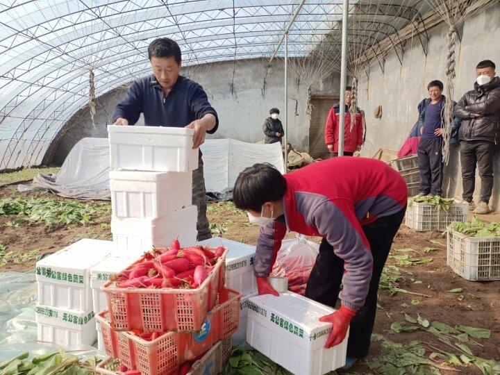 订单种植致富案例_致富种植视频全集_致富成功案例