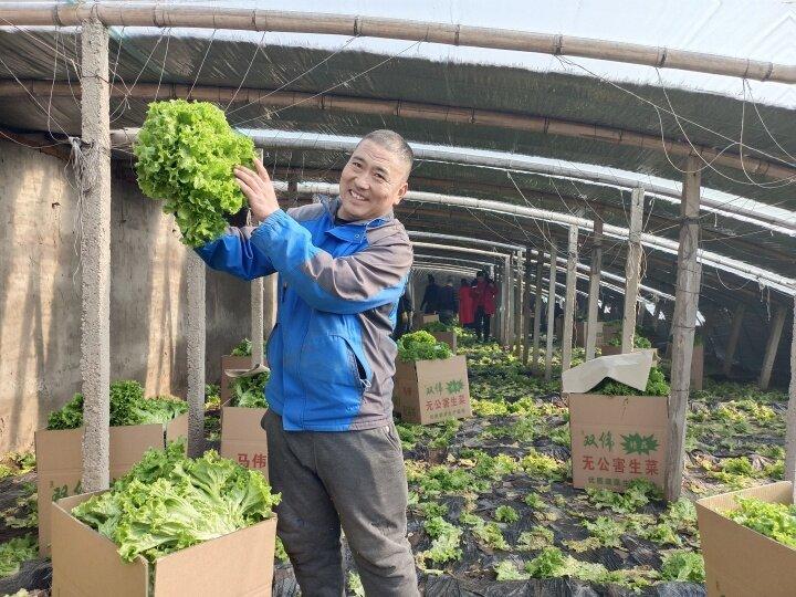 订单种植致富案例_致富种植视频全集_致富成功案例