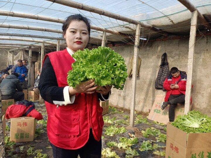 致富种植视频全集_订单种植致富案例_致富成功案例