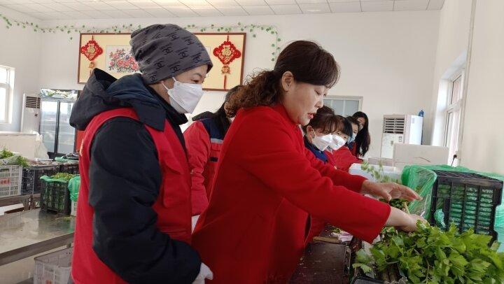 致富成功案例_订单种植致富案例_致富种植视频全集