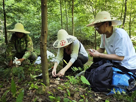 大棚种植技术人工_大棚人工种植技术要点_大棚人工种植技术规程