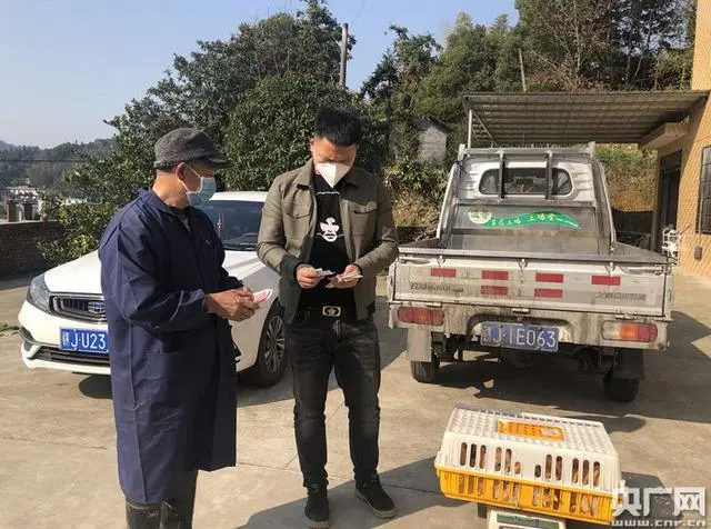 农家养殖土鸡技术视频_农家养殖土鸡技术与管理_农家土鸡养殖技术