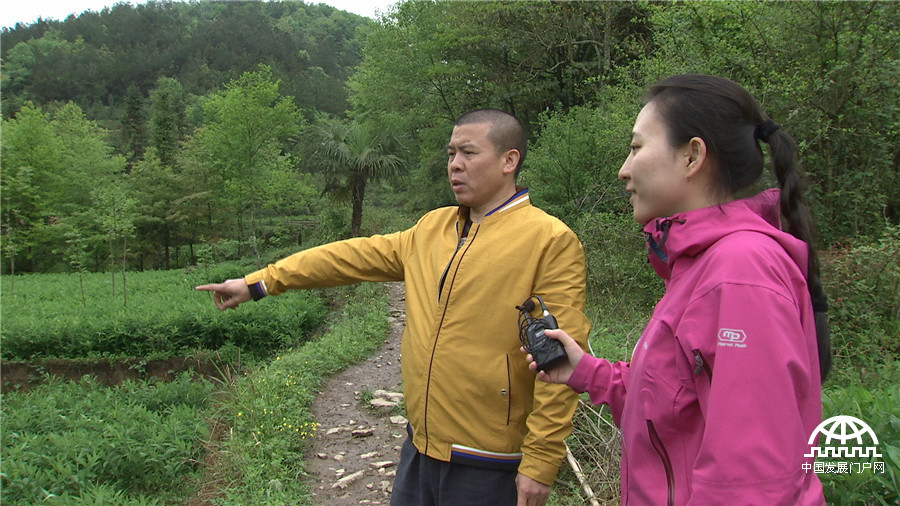 致富经：生病后在大山里发现财富