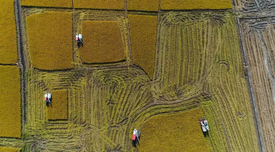 粮食工作交流材料_优质粮食工程经验交流材料_优质粮食工程典型经验交流