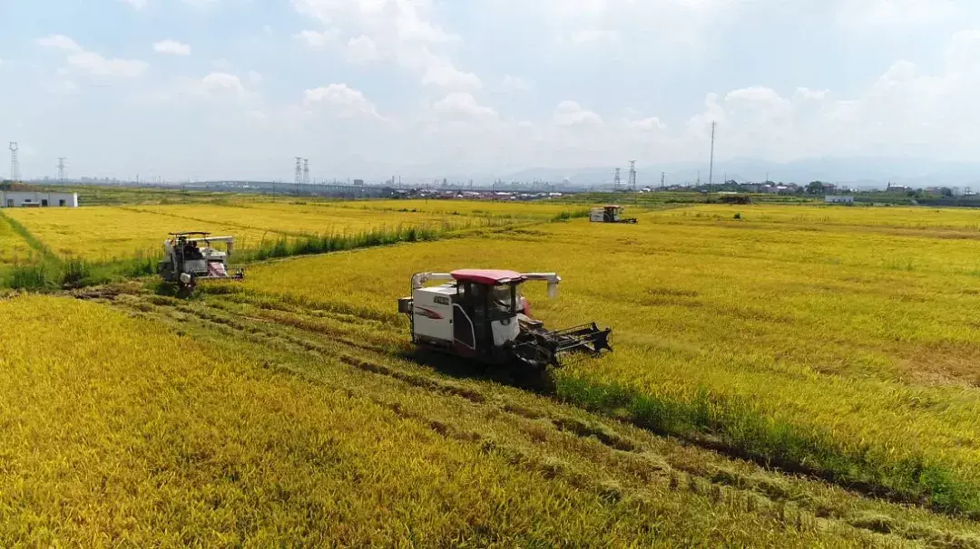 优质粮食工程经验交流材料_粮食工作交流材料_优质粮食工程典型经验交流