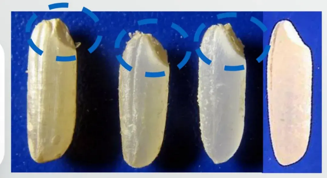 优质粮食工程典型经验交流_粮食工作交流材料_优质粮食工程经验交流材料