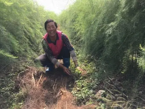 致富经卖水果湖南的_致富水果湖南卖多少钱_致富水果湖南卖什么