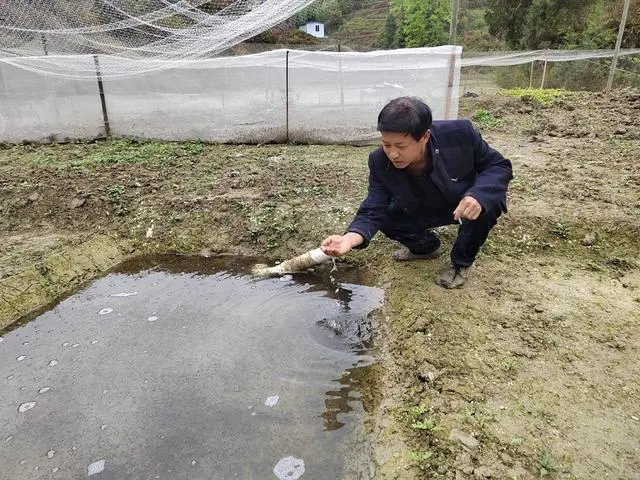 致富养殖项目_致富养殖场_养殖大家致富