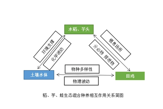 养殖大家致富_致富养殖项目_致富养殖场