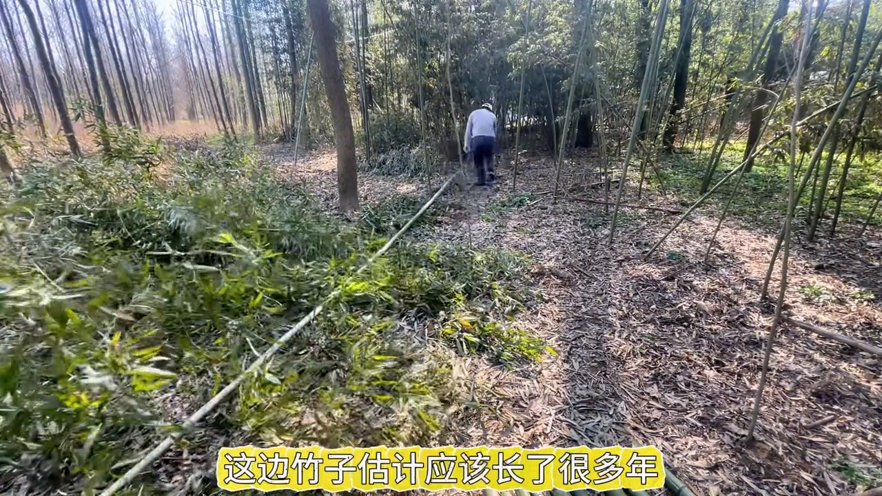 致富经散养兔子视频_家兔散养致富经视频_视频致富散养家兔下载