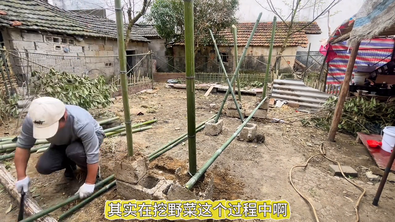 家兔散养致富经视频_致富经散养兔子视频_视频致富散养家兔下载