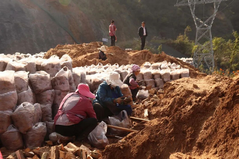 鬃岭镇祠堂边社区务工群众正在将锯末、泥土、木材、蜜环菌混合装袋。