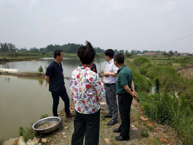 龙虾养殖家庭技术培训_龙虾家庭养殖技术_龙虾养殖家庭技术方法