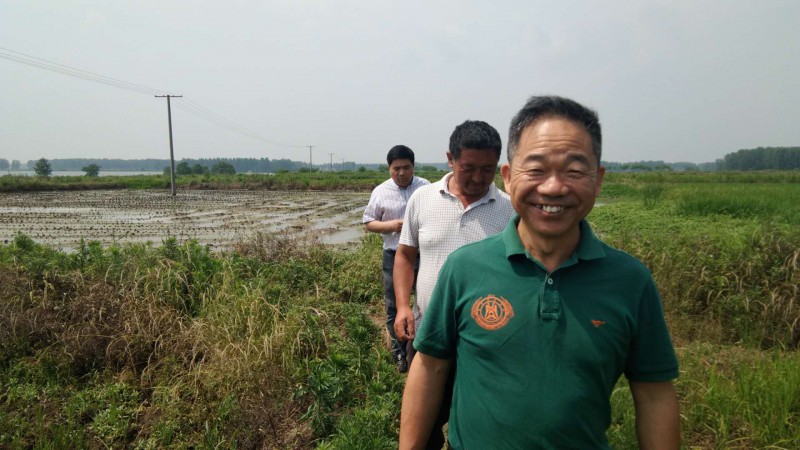 龙虾家庭养殖技术_龙虾养殖家庭技术培训_龙虾养殖家庭技术方法