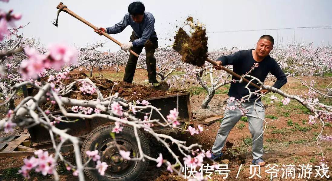 最适合农村致富的养殖_致富养殖农村适合种什么_致富养殖农村适合做什么