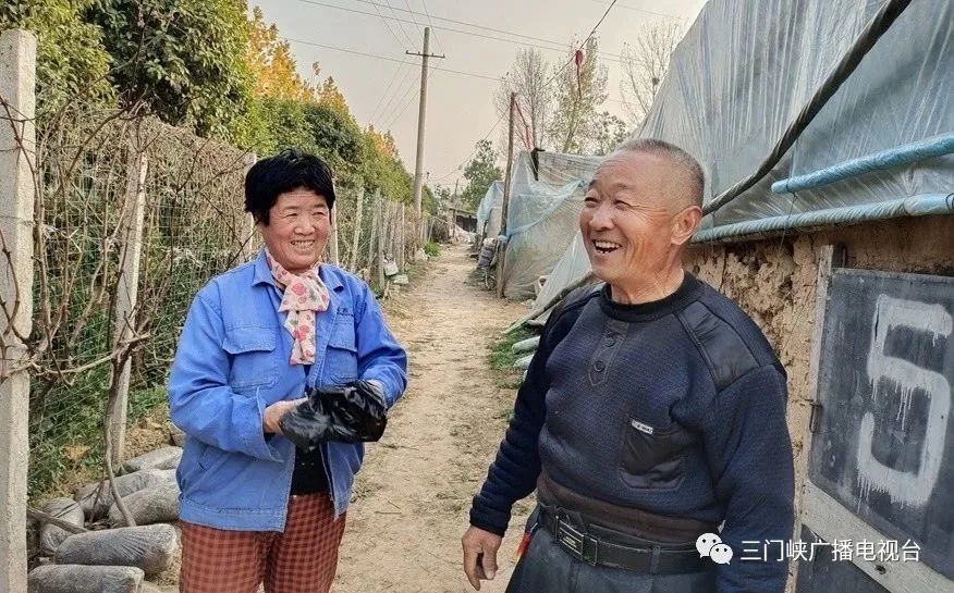 平菇种植基地_上思县种植平菇致富_致富经种植平菇年收入百万