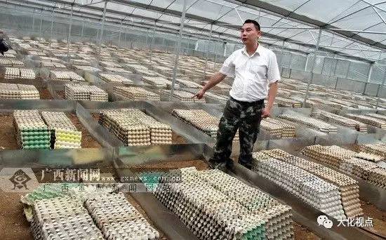 蝎子养殖技术成熟吗_蝎子养殖难度技术有多少种_蝎子养殖技术有难度
