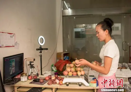 香果树的果实香吗_致富经果树种植视频_致富经新奇百香果