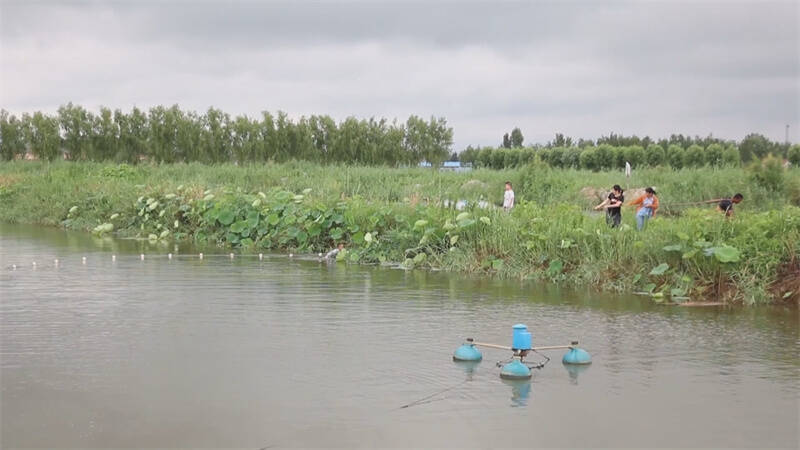 致富养殖水产方案怎么写_水产养殖致富经_水产养殖致富方案