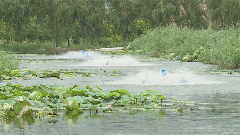 水产养殖致富经_致富养殖水产方案怎么写_水产养殖致富方案