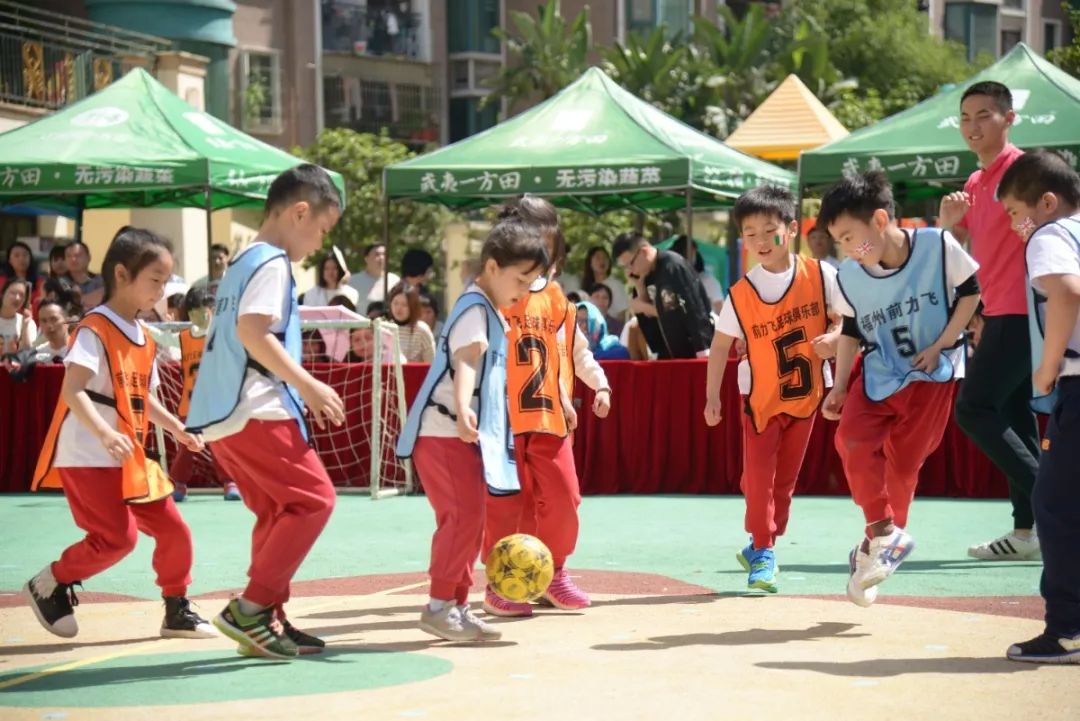 幼儿园优质办学经验_幼儿园办园条件优质_优质幼儿园的办园优势亮点