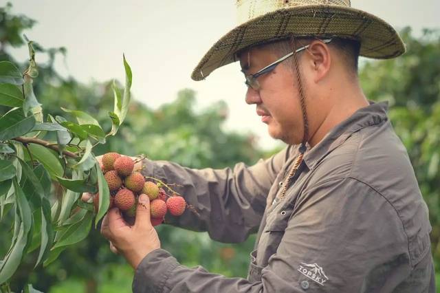 种植致富业_种植什么树致富快_致富经种树的创业项目