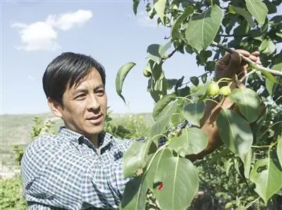 致富种植虫草好不好_致富经虫草种植_致富种植虫草好吗