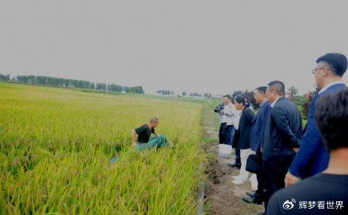 龙虾养殖水产技术视频_龙虾养殖_水产养殖技术龙虾