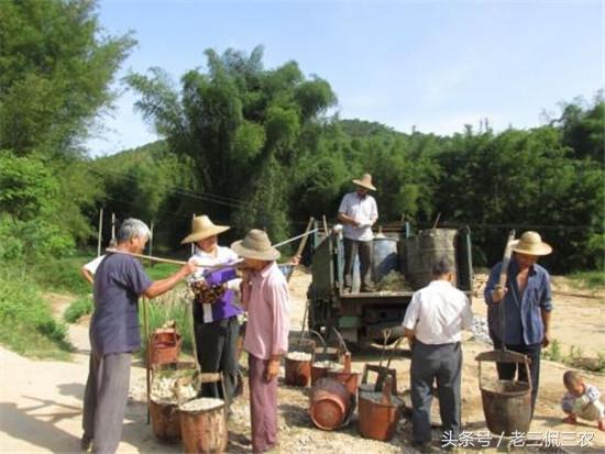 致富种植什么比较赚大钱_种植什么树致富快_种树致富全部视频