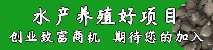 猪栏养殖致富项目_致富养殖猪栏项目名称_致富养殖猪栏项目简介