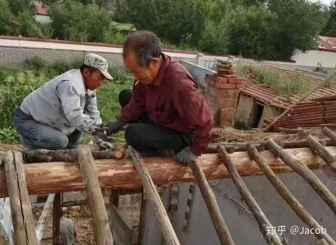 养贵妃鸡致富经_致富经贵妃鸡养殖_每日农经致富经贵妃鸡