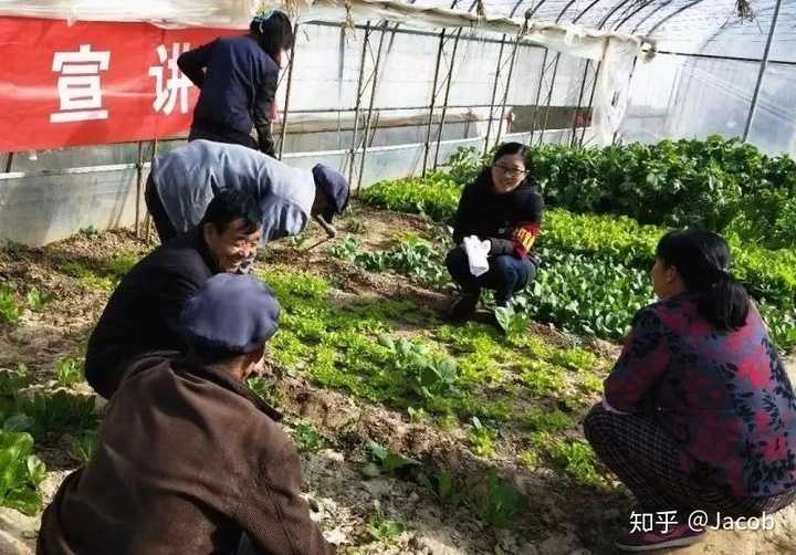 每日农经致富经贵妃鸡_养贵妃鸡致富经_致富经贵妃鸡养殖