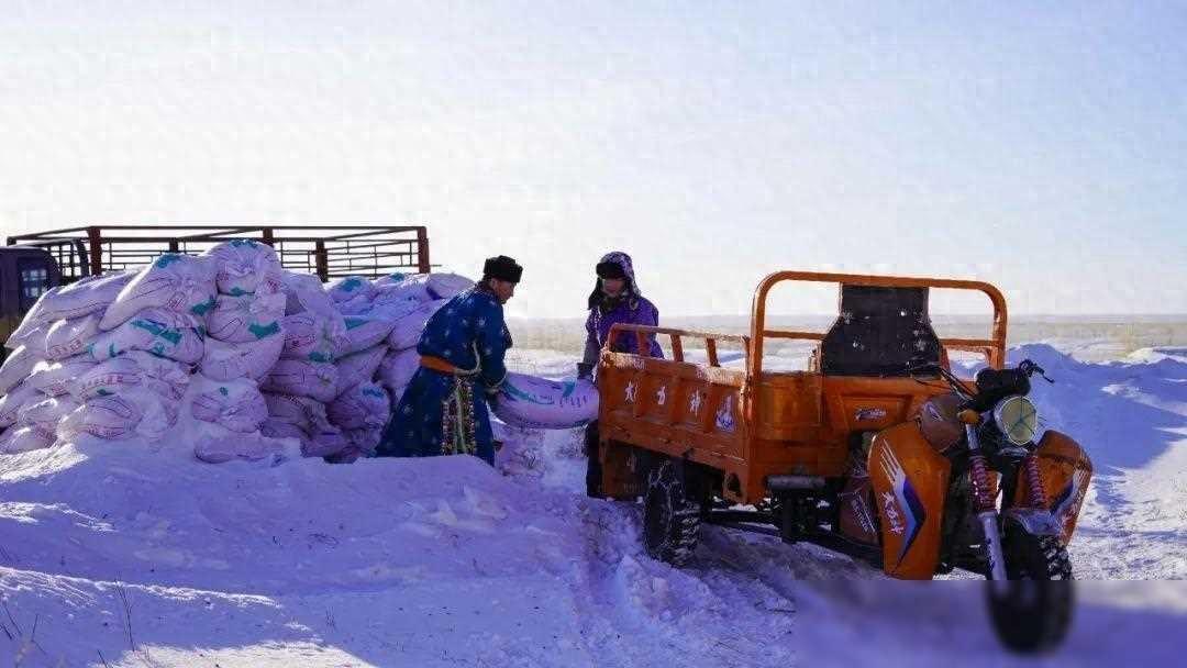 新春走基层 | 牧民巴图布和的“致富经”