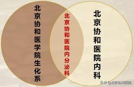 内分泌优质护理经验_护理经验丰富_优质护理经验交流