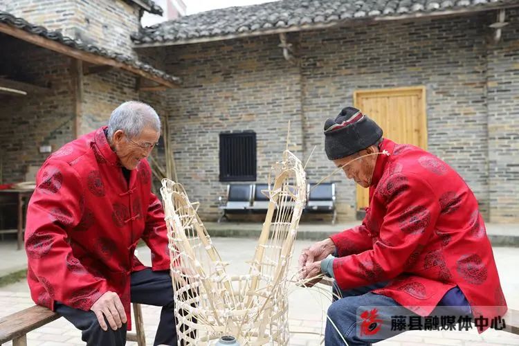 柚子盆栽种植_种植盆景柚子致富_柚子盆景怎么种植方法