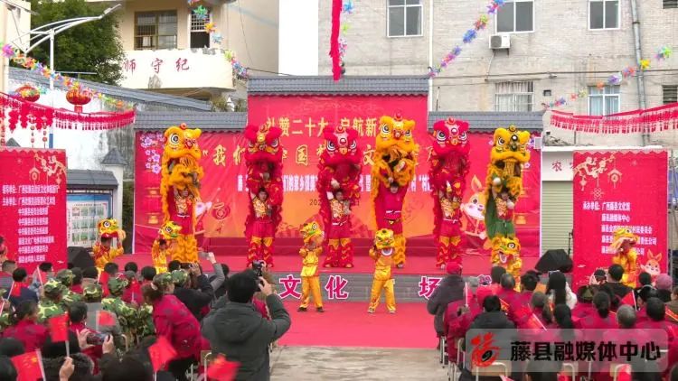 柚子盆栽种植_种植盆景柚子致富_柚子盆景怎么种植方法