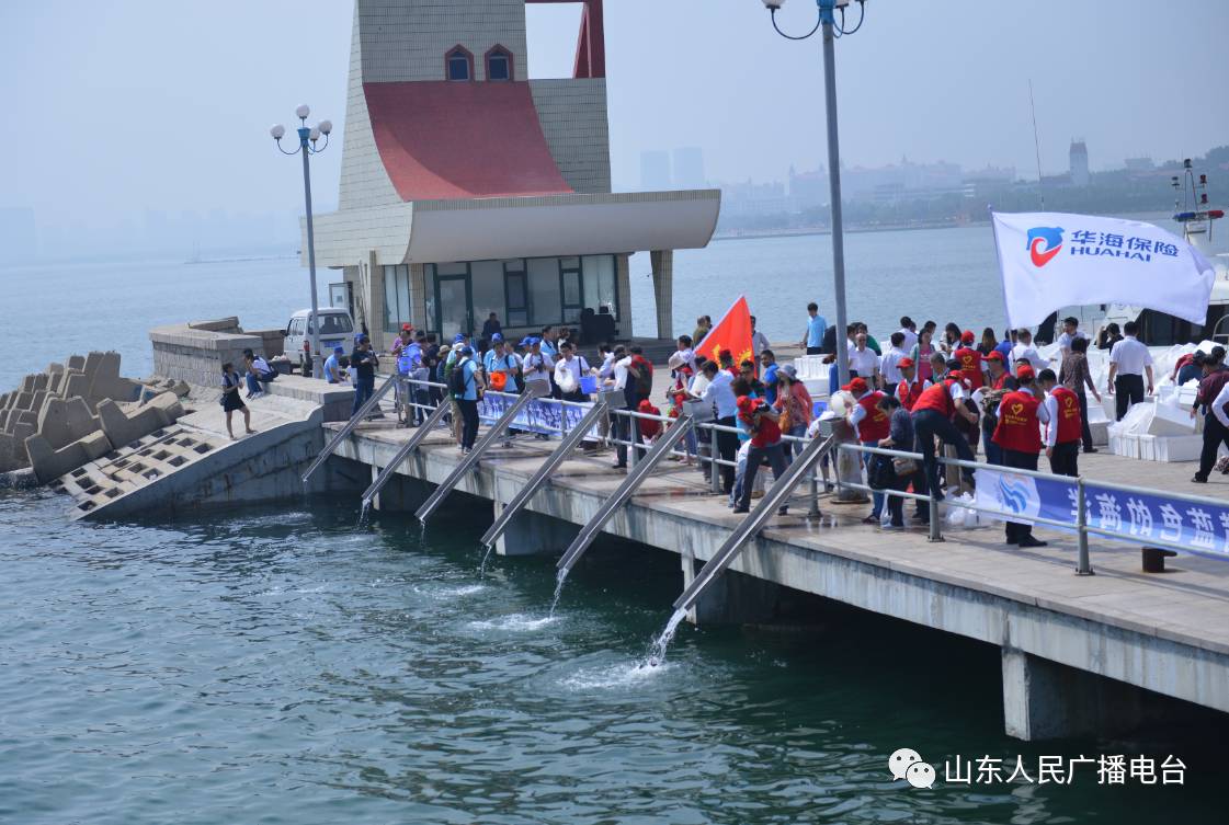 东营养殖锦鲤致富新闻事件_养殖锦鲤_海南养殖致富新闻