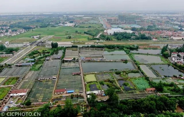 江苏省鳜鱼养殖致富经_江苏鳜鱼养殖基地_江苏鳜鱼工厂化养殖视频