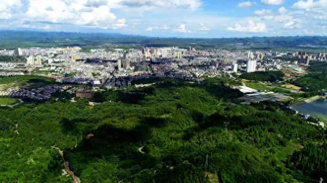 小黄姜种植方法_小黄姜种植条件_小黄姜种植致富