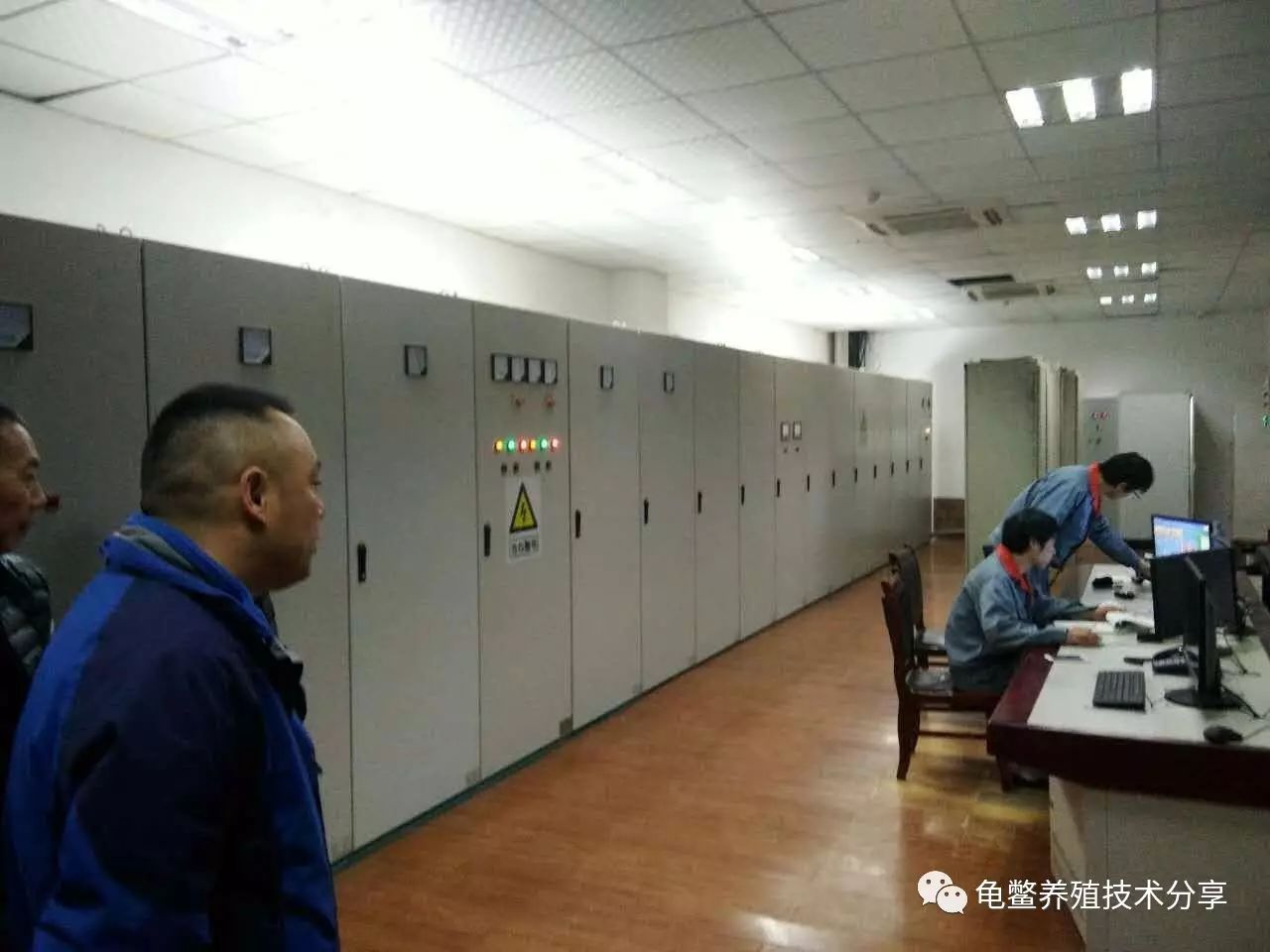 龟鳖养殖实用技术_龟鳖养殖需要办什么证_水产养殖技术龟鳖