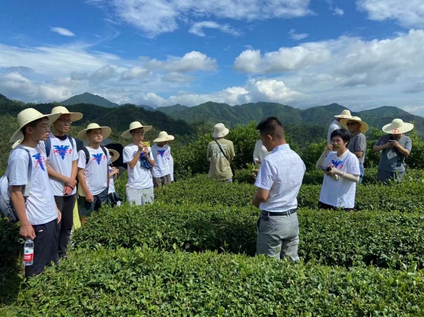 致富大山种植浙江项目有哪些_山区致富项目_浙江大山种植致富项目