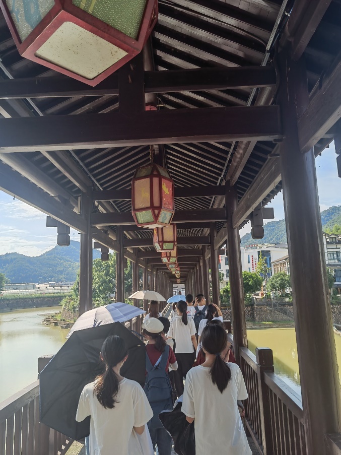 致富大山种植浙江项目有哪些_浙江大山种植致富项目_山区致富项目