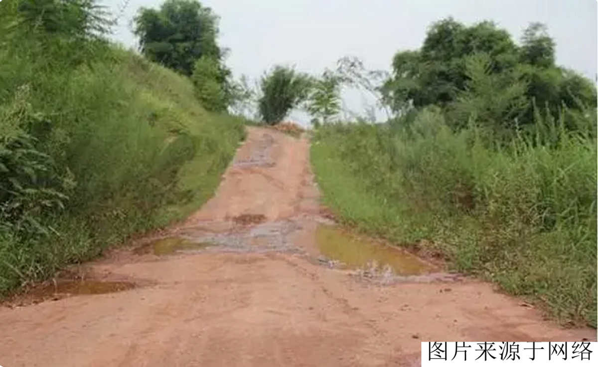 苦瓜种植时间及技术要点视频_春季苦瓜的种植技术_cctv7春季苦瓜种植技术