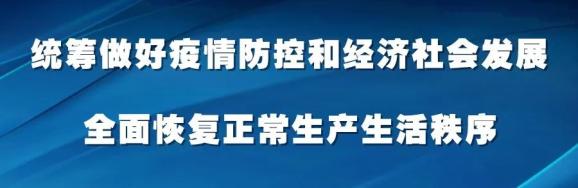 种植党参的药效怎么样_临洮党参种植致富_种植党参的有利条件