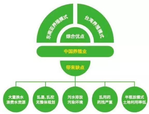 室内水产养殖什么好养又赚钱_家庭水产养殖致富项目_室内水水产养殖致富经