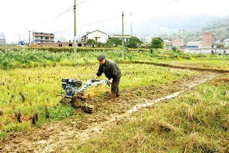 农村骗局不断升级，这些套路农民们要早点识破！