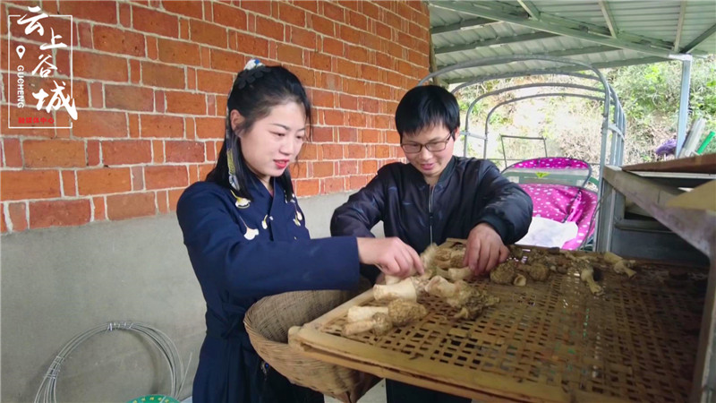 致富贴吧_淘宝致富经_淘宝致富的人多吗